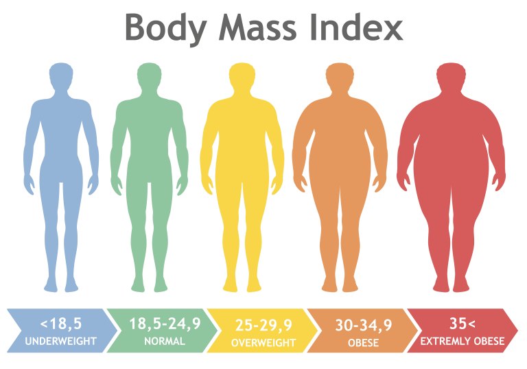 body mass index diagram